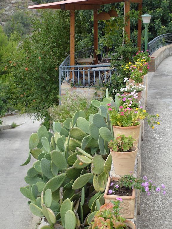 La Suma Sumalia Bed & Breakfast Noto Luaran gambar